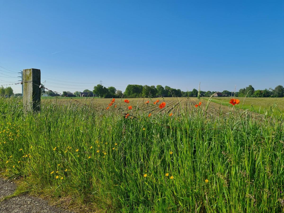 Voorst Tiny House In De Achterhoek别墅 外观 照片